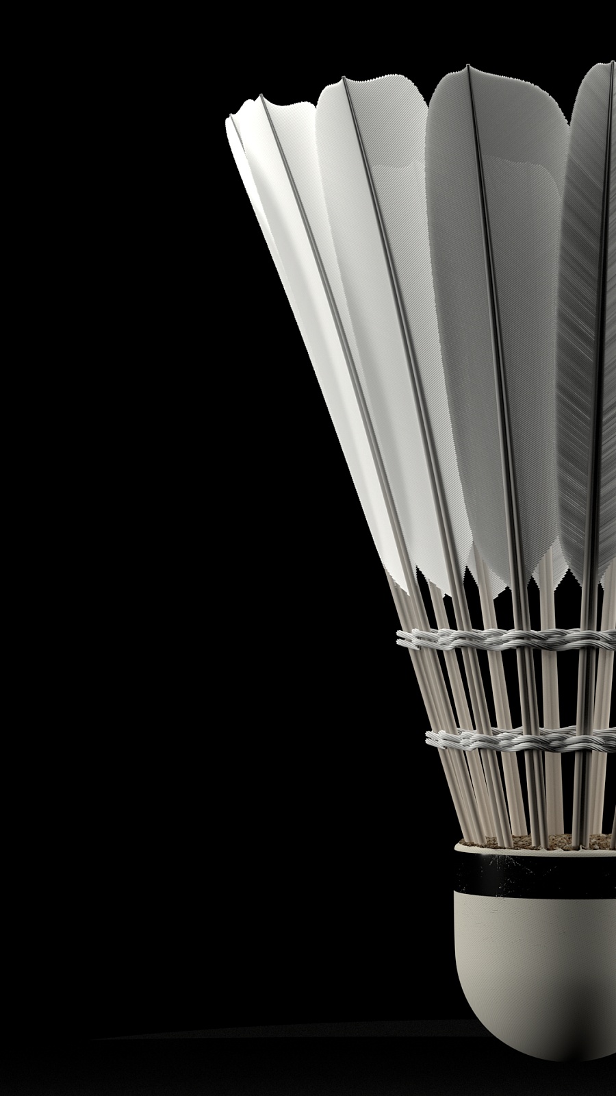 对于福克斯 对于福克斯